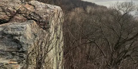 An image depicting the trail Conestoga Trail and its surrounding area.