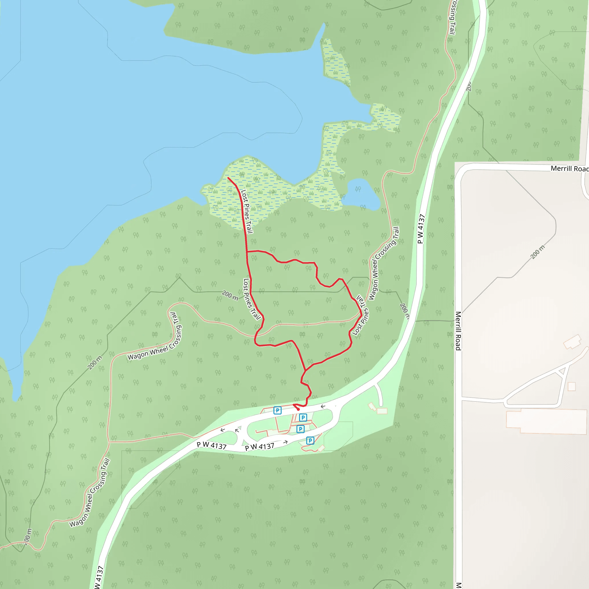 Lost Pines Loop Trail mobile static map