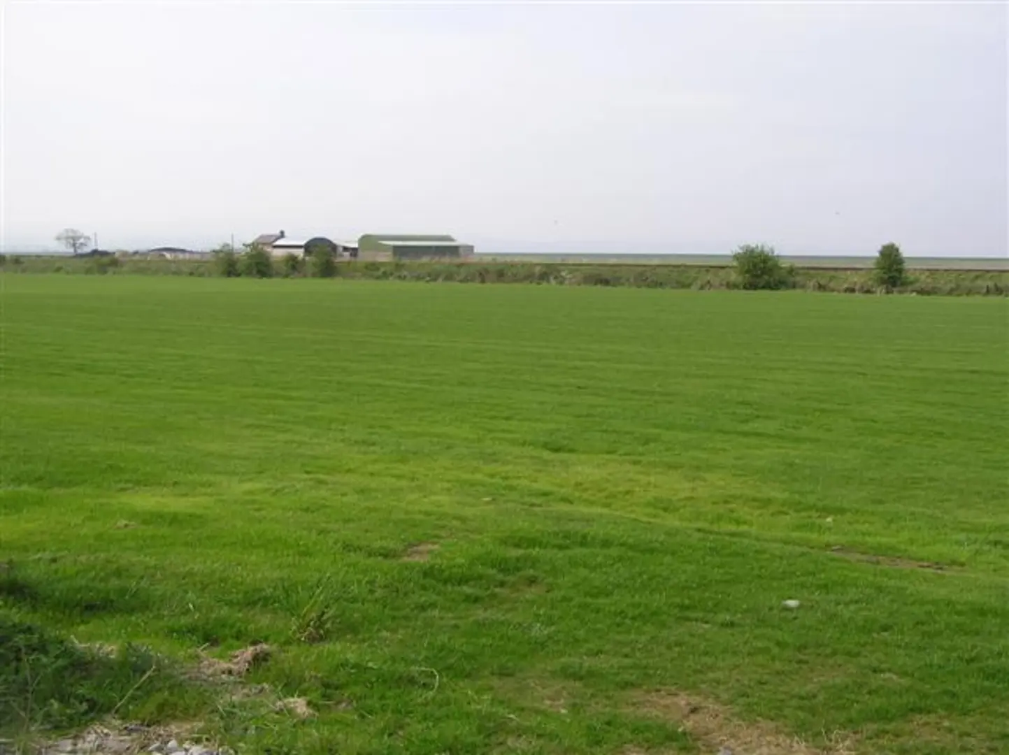 An image depicting the trail Lough Foyle Trail and its surrounding area.