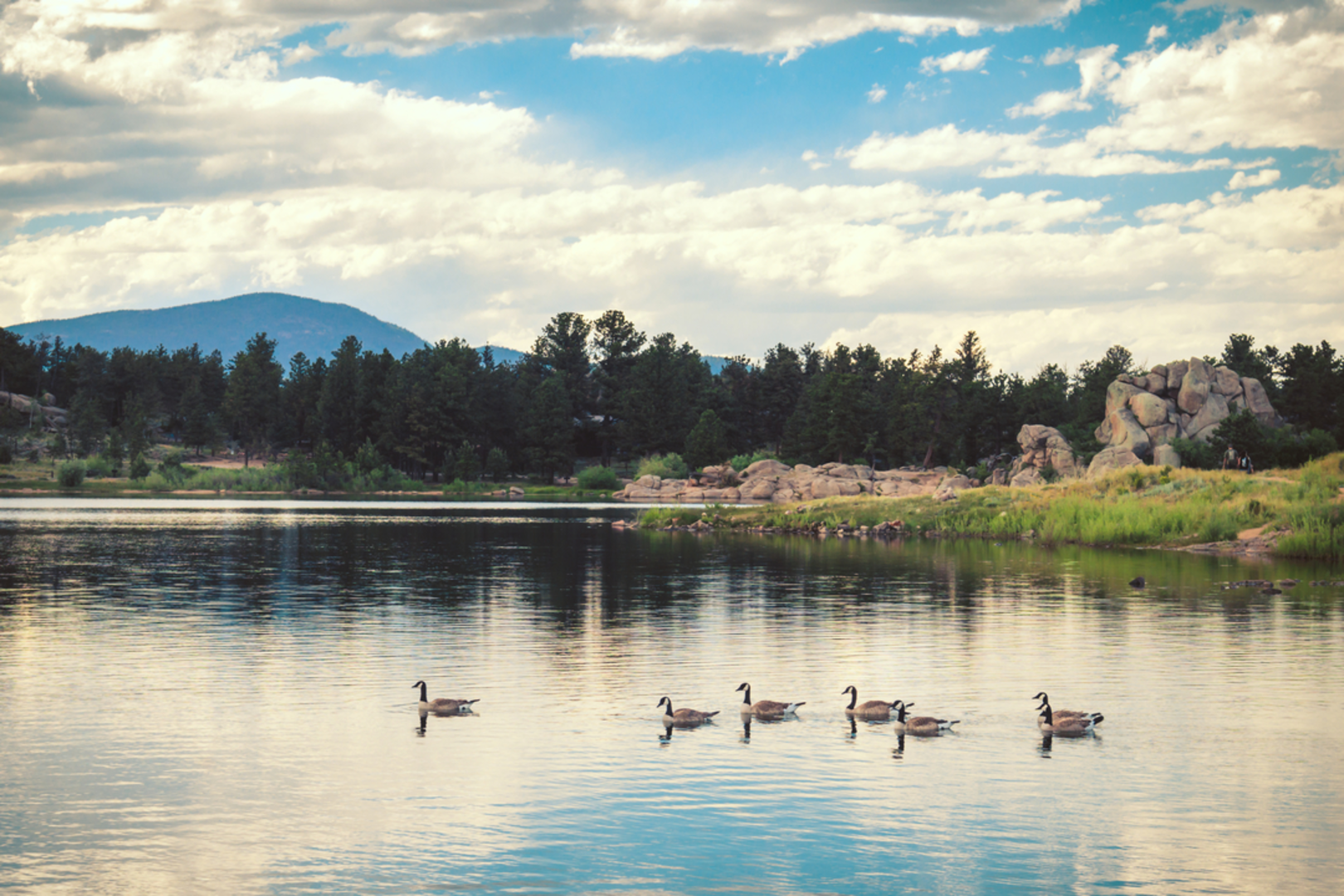 An image depicting the trail Trail Between The Pines Trail and its surrounding area.