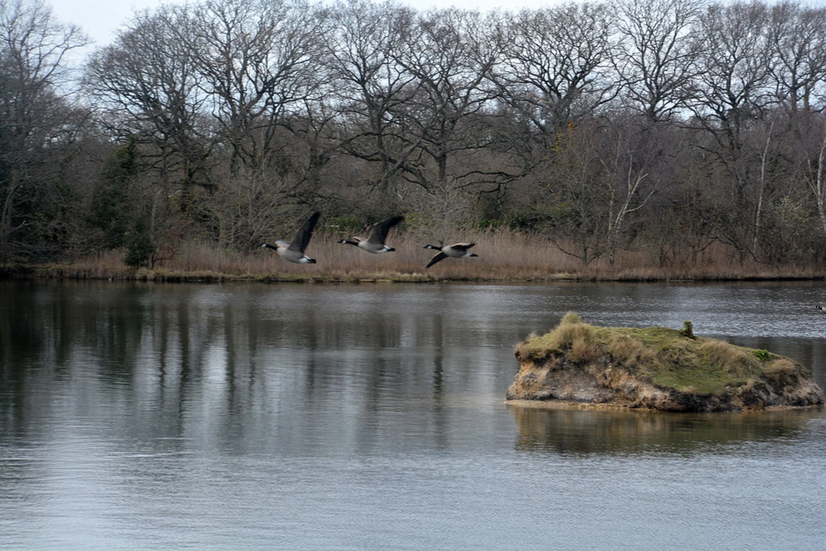 An image depicting the trail Oxey Lake and Lymington-Keyhaven Marshes Nature Reserve via Solent Way and its surrounding area.