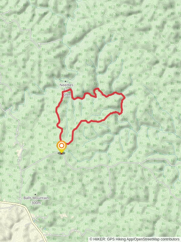 Randolph Wild Hiking and Sipsey Wild Hiking Trail