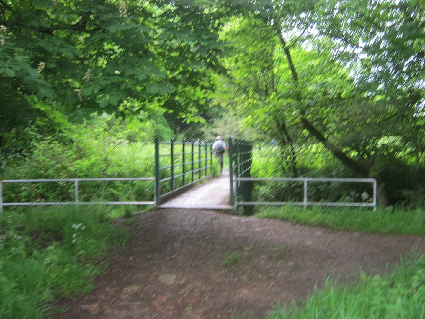 An image depicting the trail Raisby Hill Grassland Nature Reserve, East Hetton Woods and Quarrington Hill Loop and its surrounding area.
