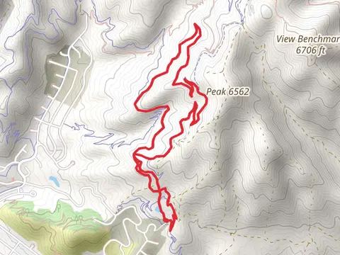 Sensei and Lolo Loop