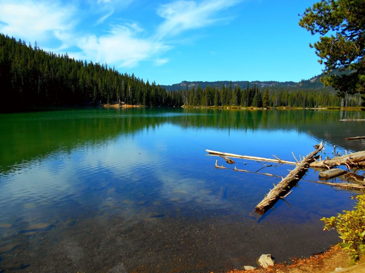 An image depicting the trail Wickiup Plains via Elk Devils Trail and its surrounding area.