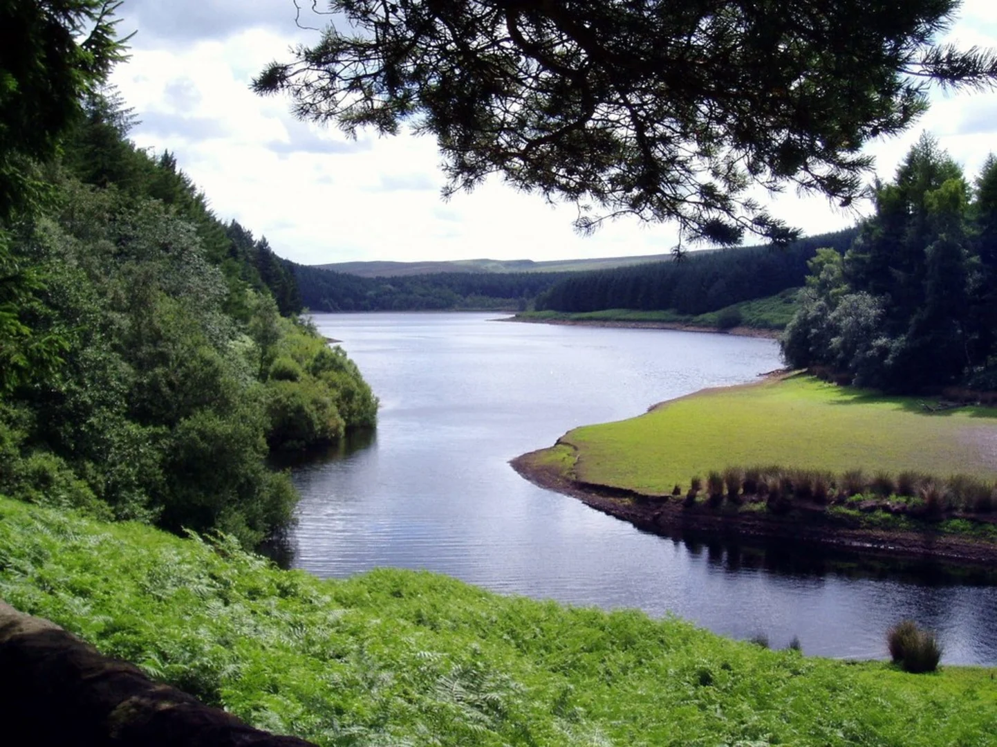 An image depicting the trail Langsett Reservoir and Midhope Moors Loop and its surrounding area.