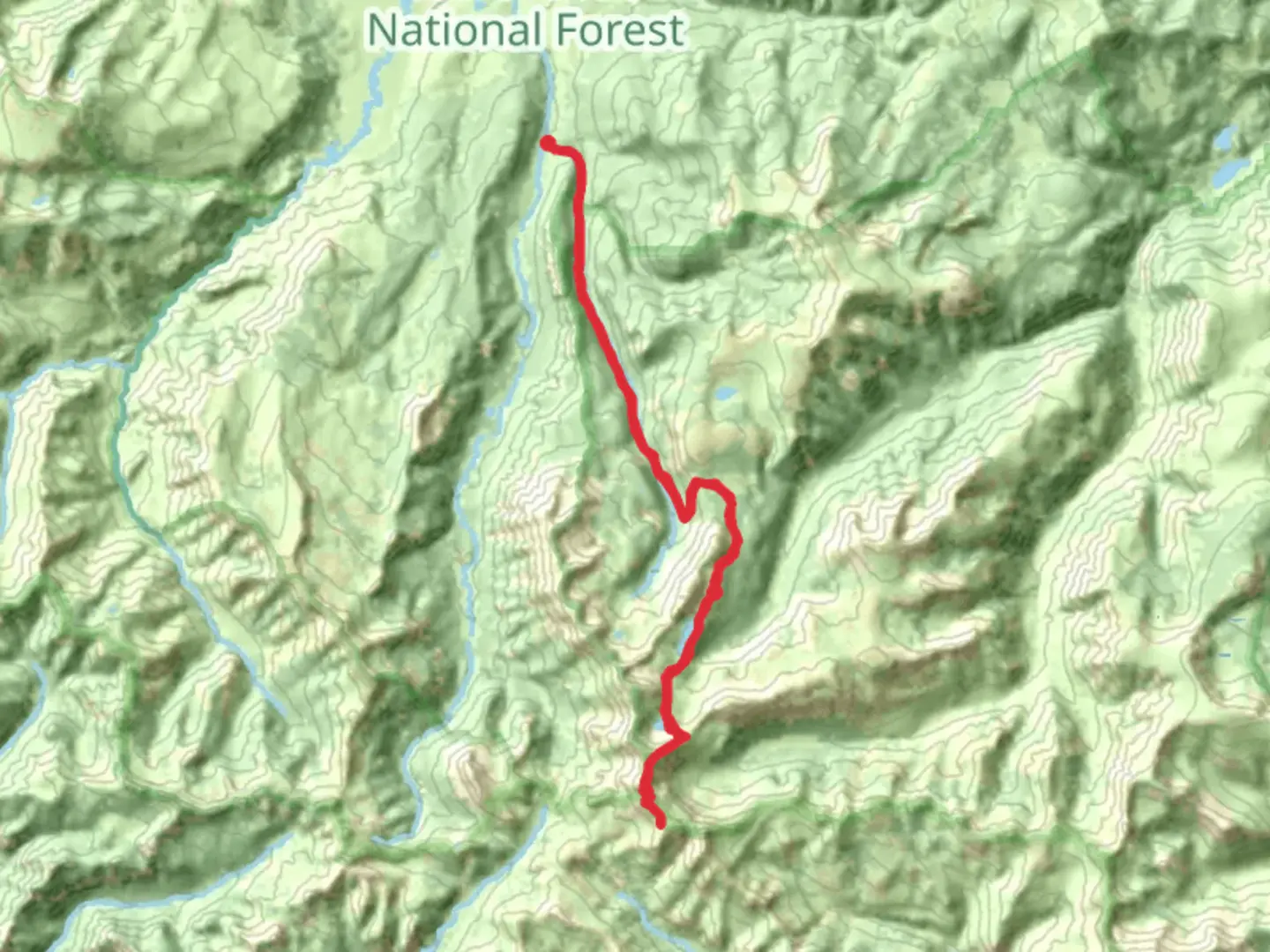 An image depicting the trail Ivy Creek Trail and its surrounding area.