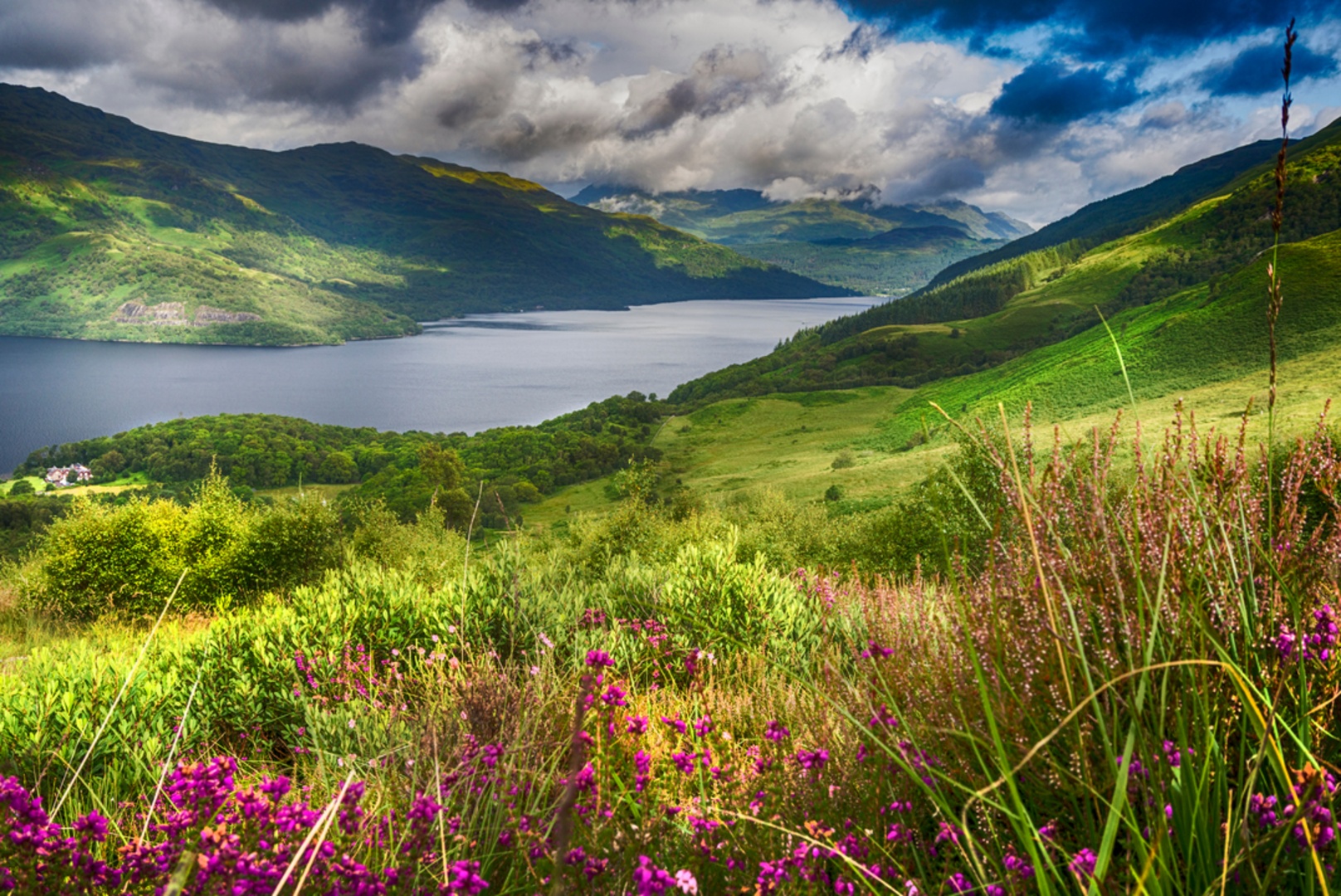 An image depicting the trail Ben Lomond via South Top and its surrounding area.