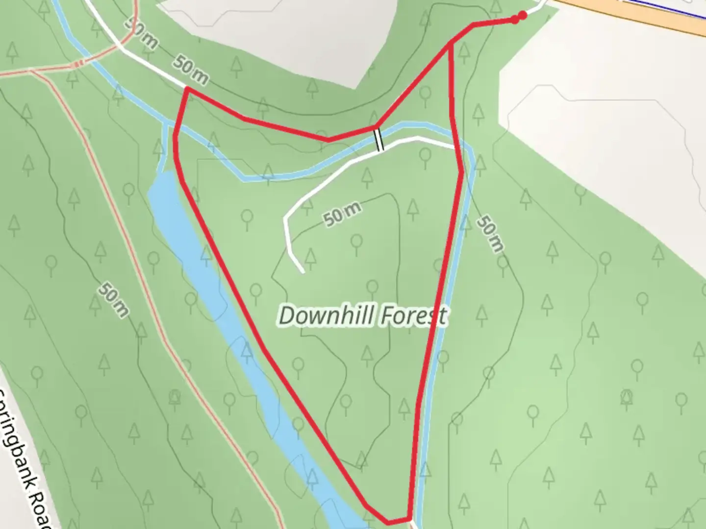 An image depicting the trail Downhill Forest Pond Trail and its surrounding area.