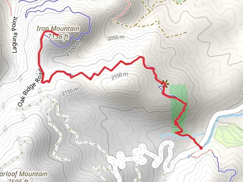 Iron Mountain via Intemann Trail and Oak Ridge