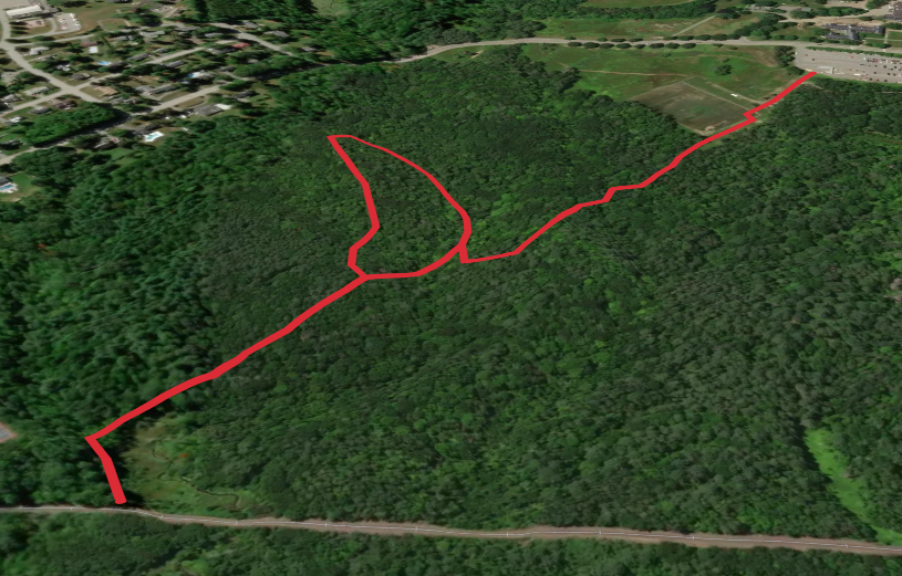 Perkins Stream - Perkins Arboretum Loop