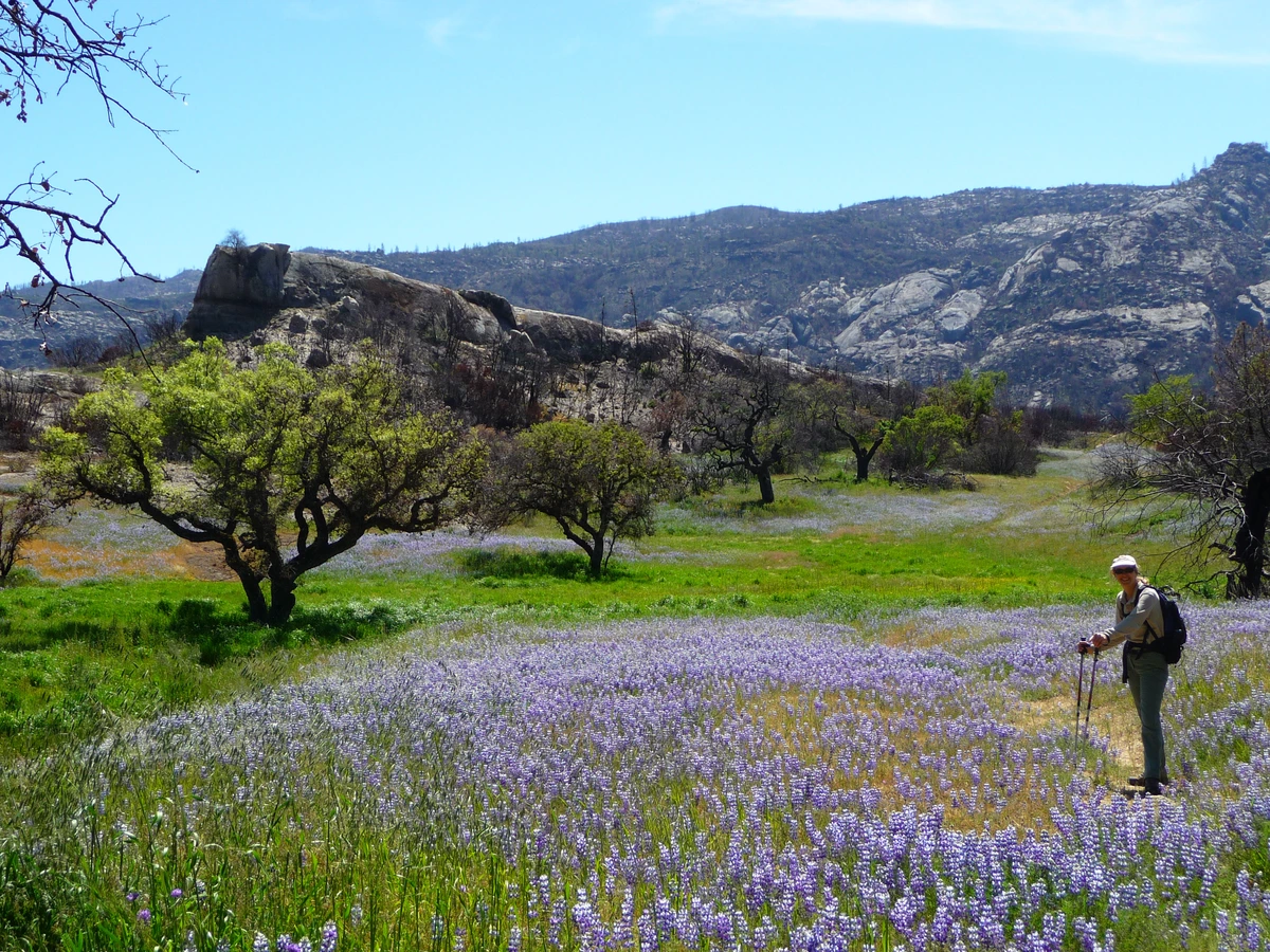 Upper Lopez Canyon Road, Little Falls and Big Falls Loop Trail