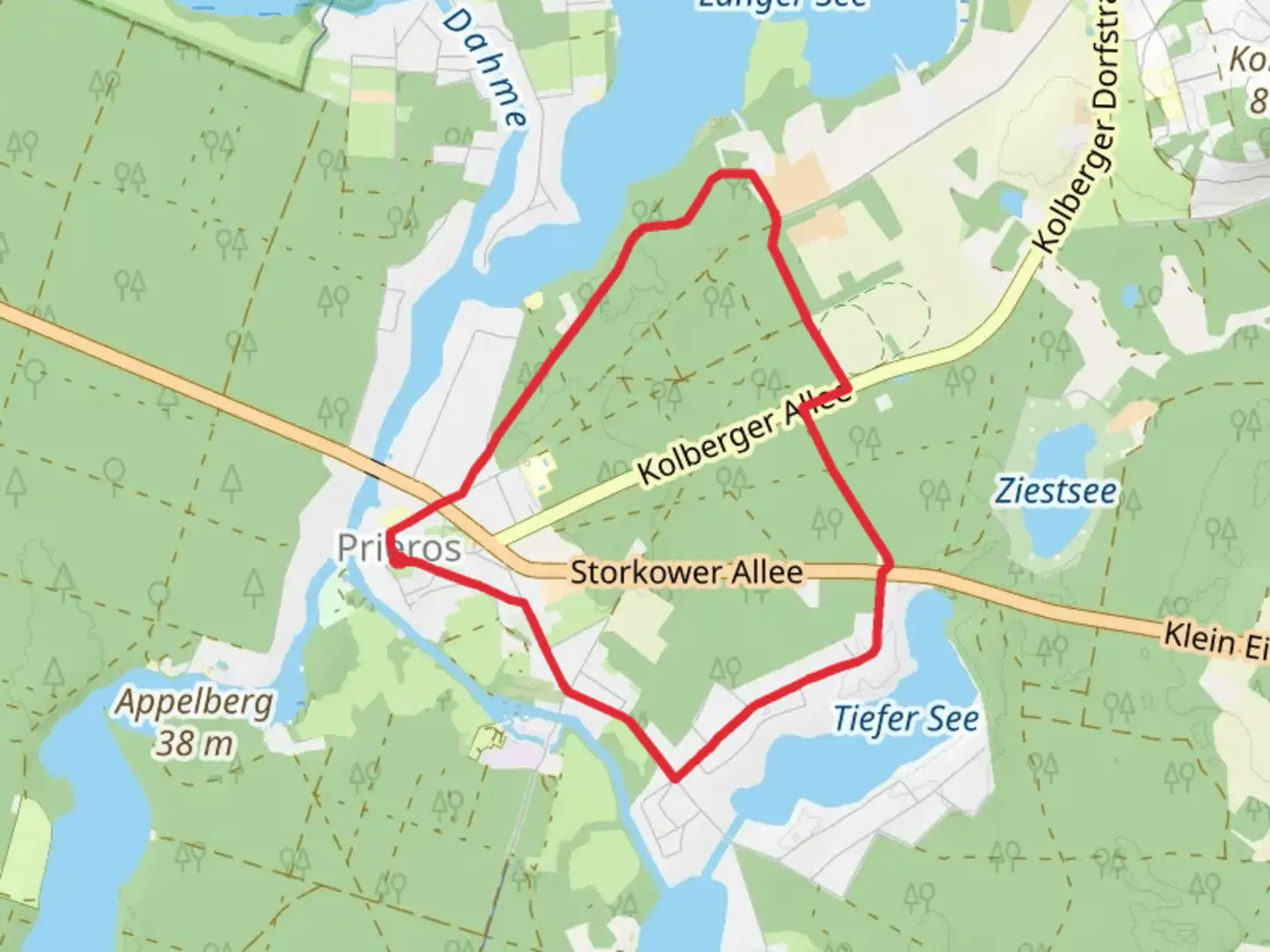 An image depicting the trail Rundweg Prieroser Heide and its surrounding area.