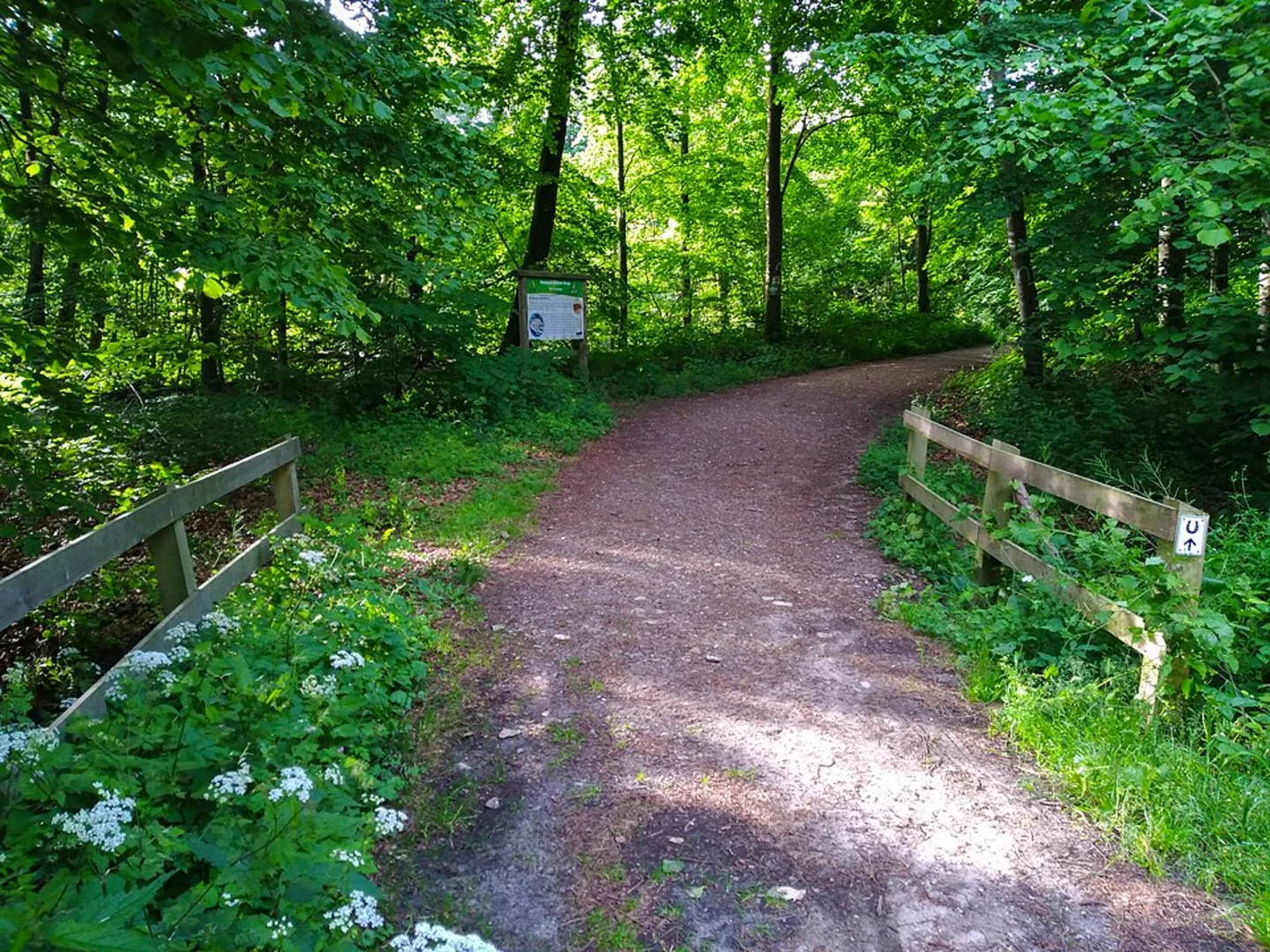 An image depicting the trail Lichtemeer and Wildgehege Damwild Loop via DAV Tour 2 Alte Kulturlandschaften and its surrounding area.