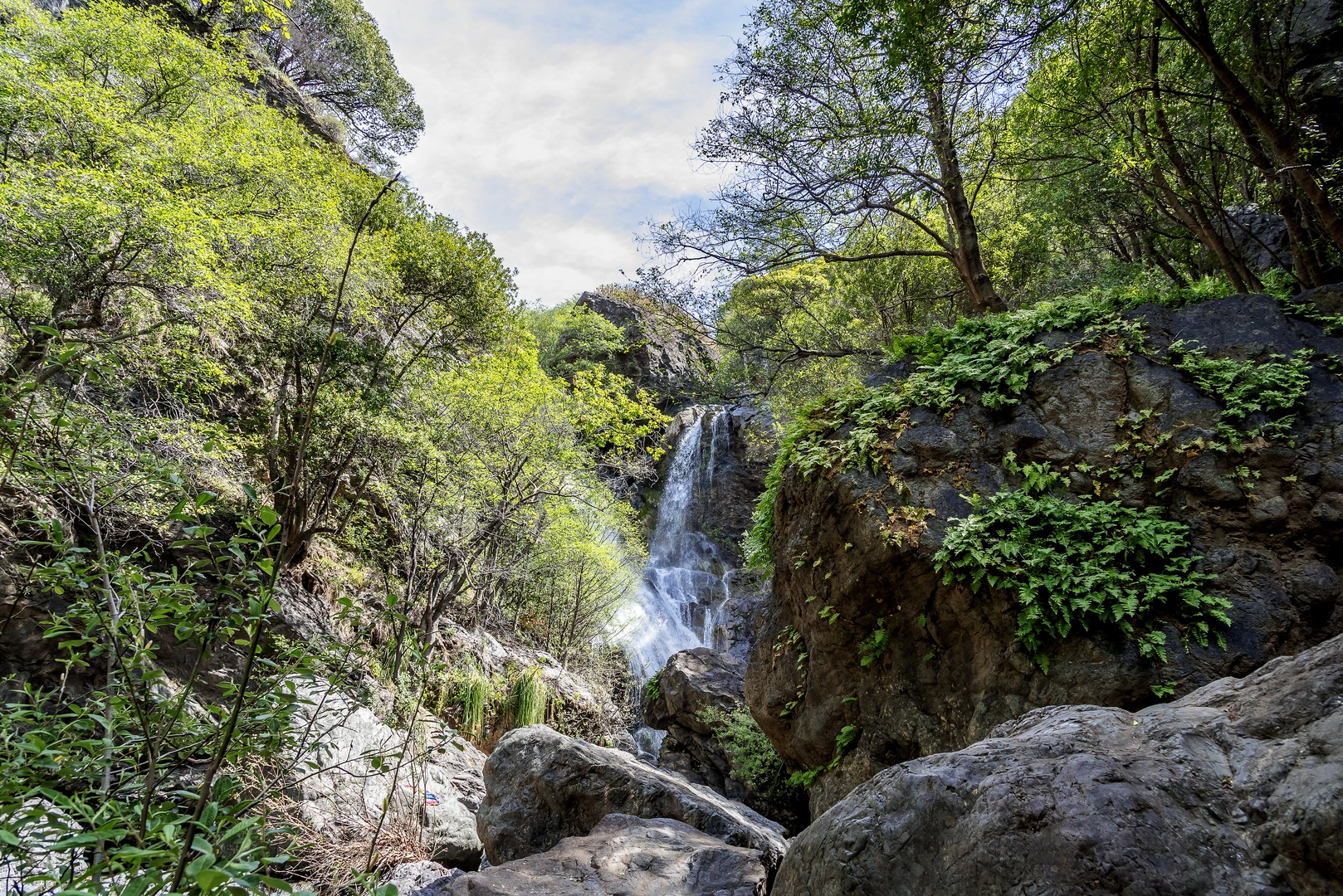 An image depicting the trail Salmon Creek Falls and its surrounding area.