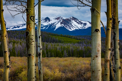 An image depicting the trail MF Troublesome Trail and its surrounding area.