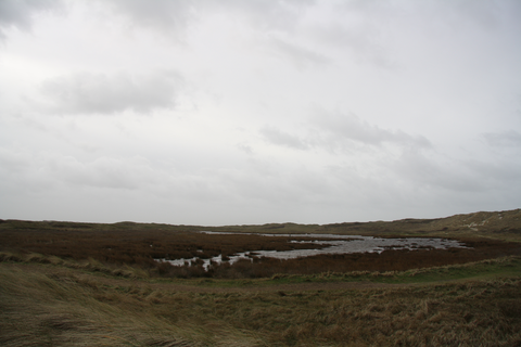 De Koog to De Cocksdorp via De Slufter and Robbengat