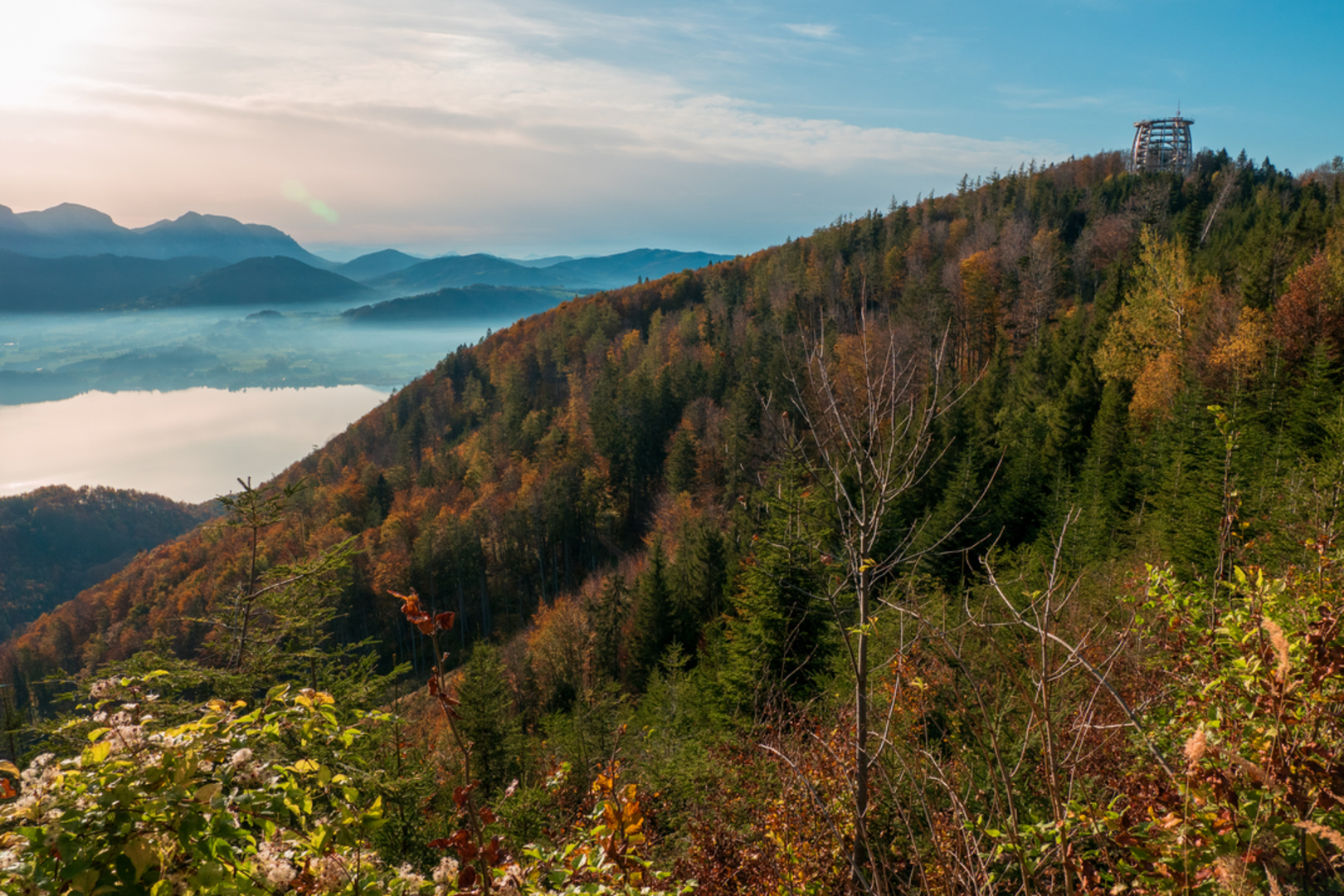 An image depicting the trail Hochgschirr in Gmunden and its surrounding area.