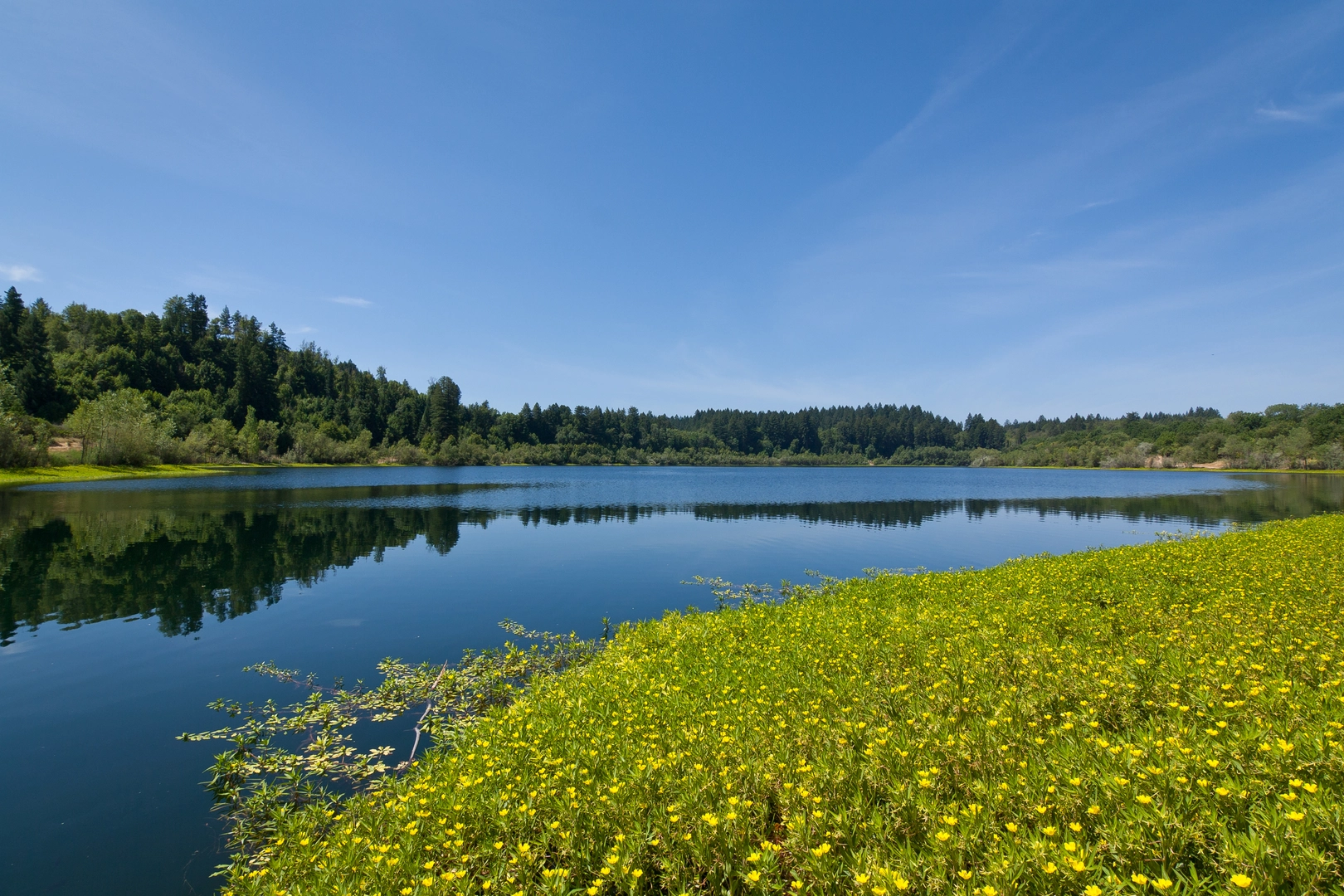 An image depicting the trail Riverfront Regional Park Loop and its surrounding area.