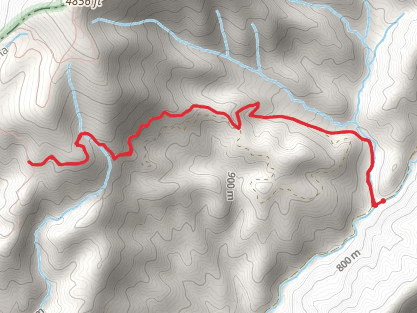 An image depicting the trail White Oak Trail and its surrounding area.
