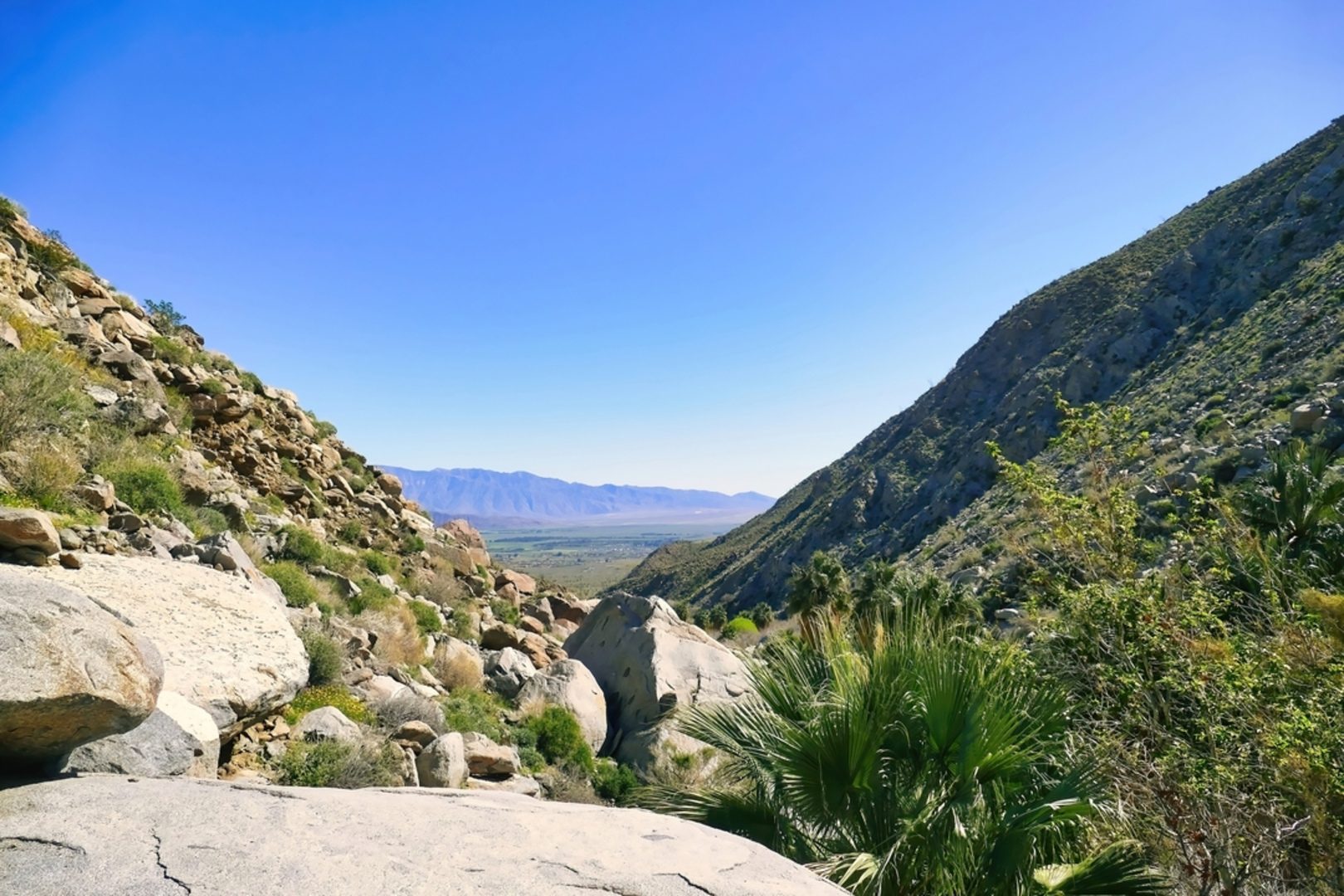 An image depicting the trail Hellhole Palms - Hellhole Canyon Trail and its surrounding area.