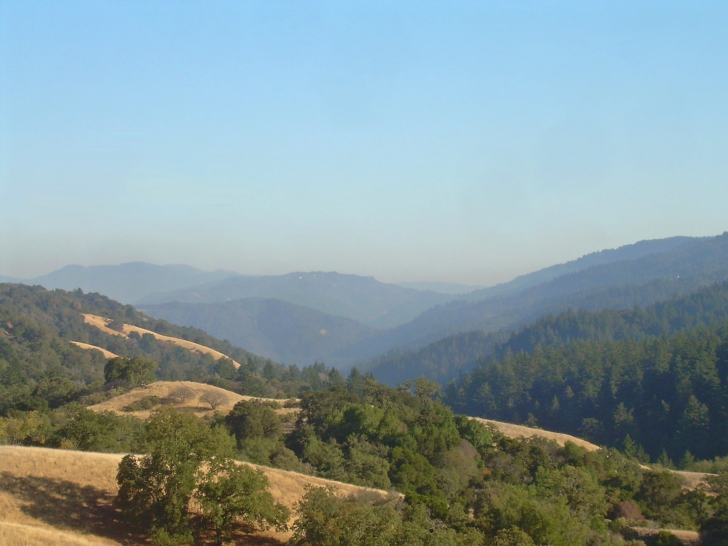 An image depicting the trail El Sereno and its surrounding area.