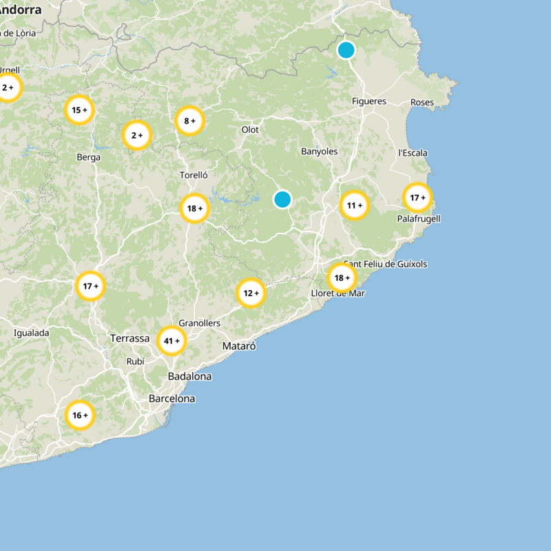 Sant Feliu De Buixalleu Static Map