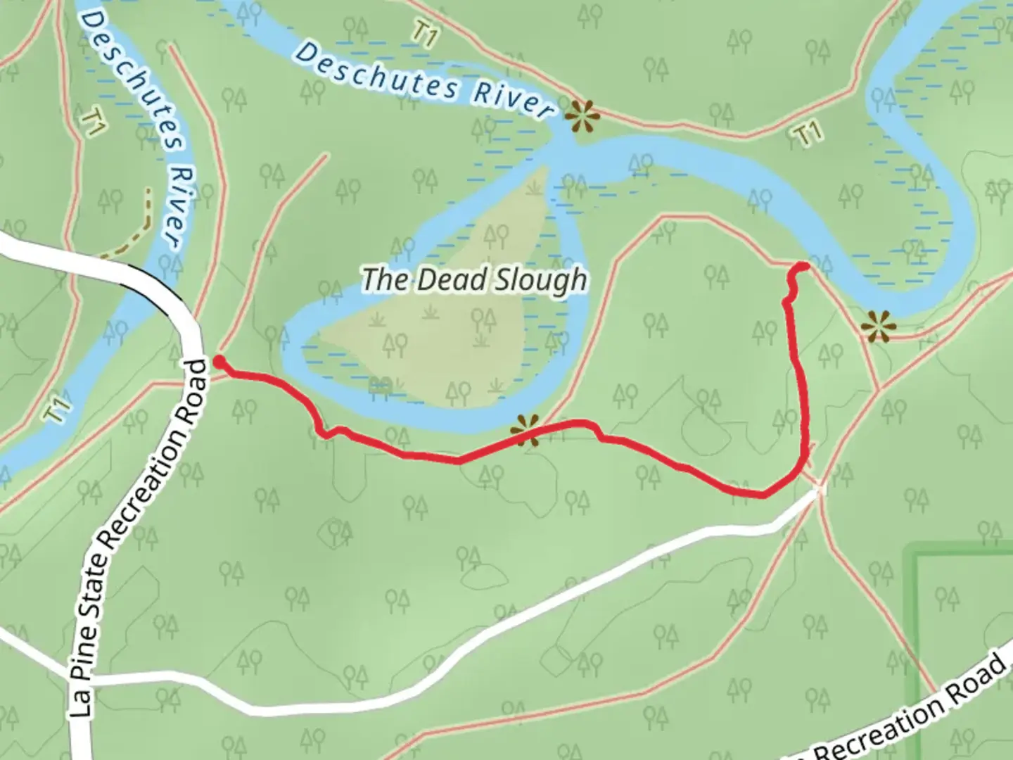 An image depicting the trail Cougar Woods Loop and its surrounding area.