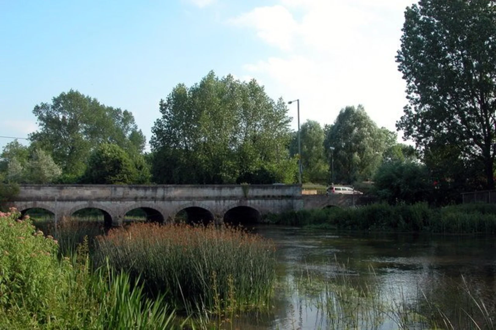 An image depicting the trail Furze Hill and Leverton Loop and its surrounding area.