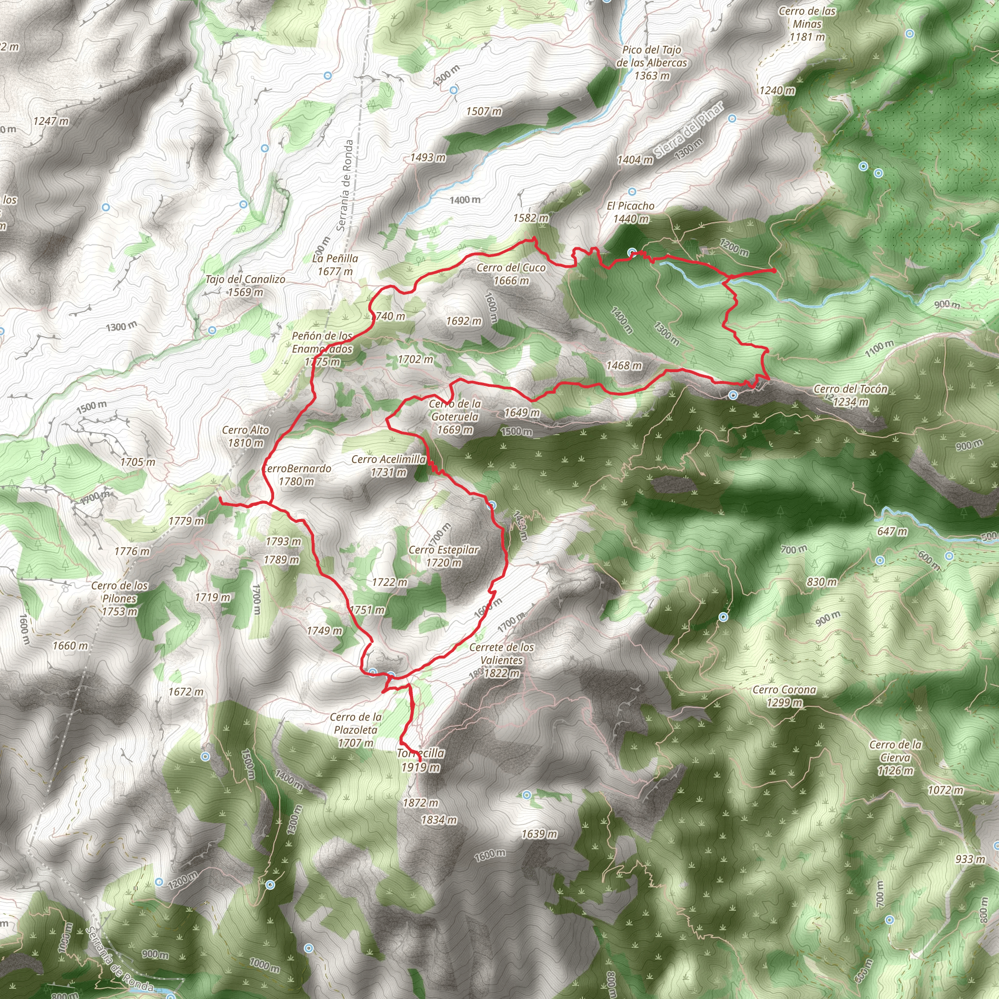 Pico Torrecilla - Fuente Pilar de Tolox Loop from Yunquera mobile static map