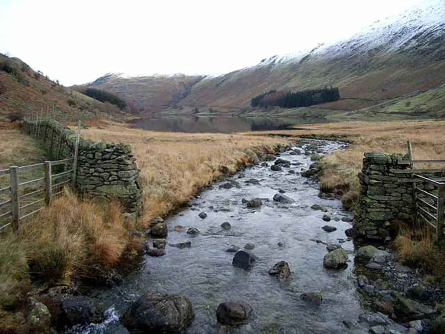 An image depicting the trail Sadgill Wood, Cleft Ghyll and Smallthwaite Knott Loop and its surrounding area.