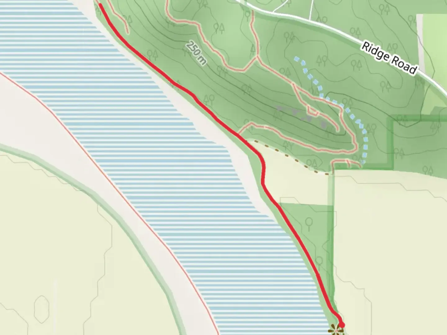 An image depicting the trail Cooley Lake and its surrounding area.