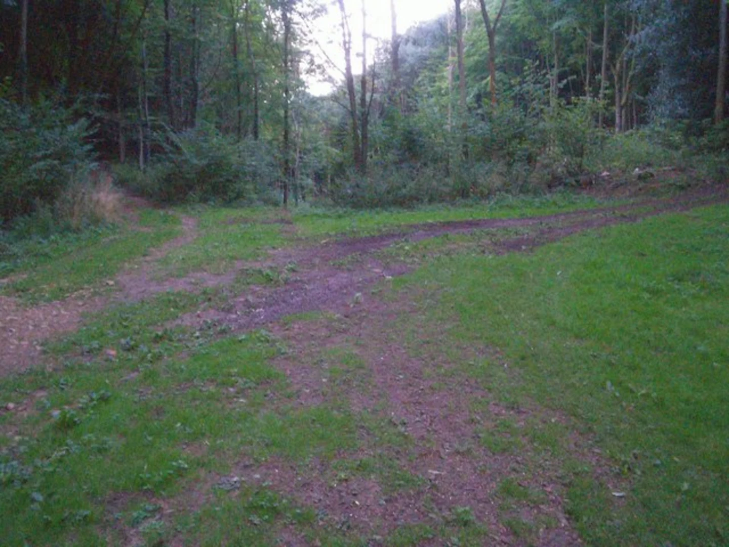 An image depicting the trail Hobb's Quarry and Norcombe Wood Loop and its surrounding area.