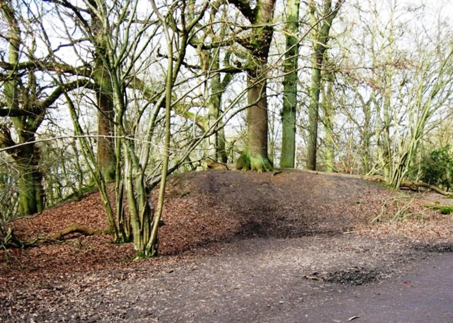 An image depicting the trail Moneybury Hill and Meadley's Meadow Loop and its surrounding area.
