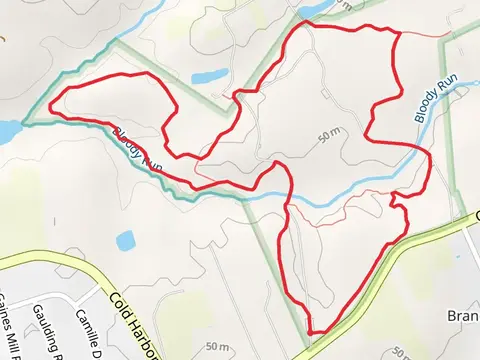 Main and Western Loop Trail