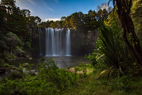 Kerikeri River Track