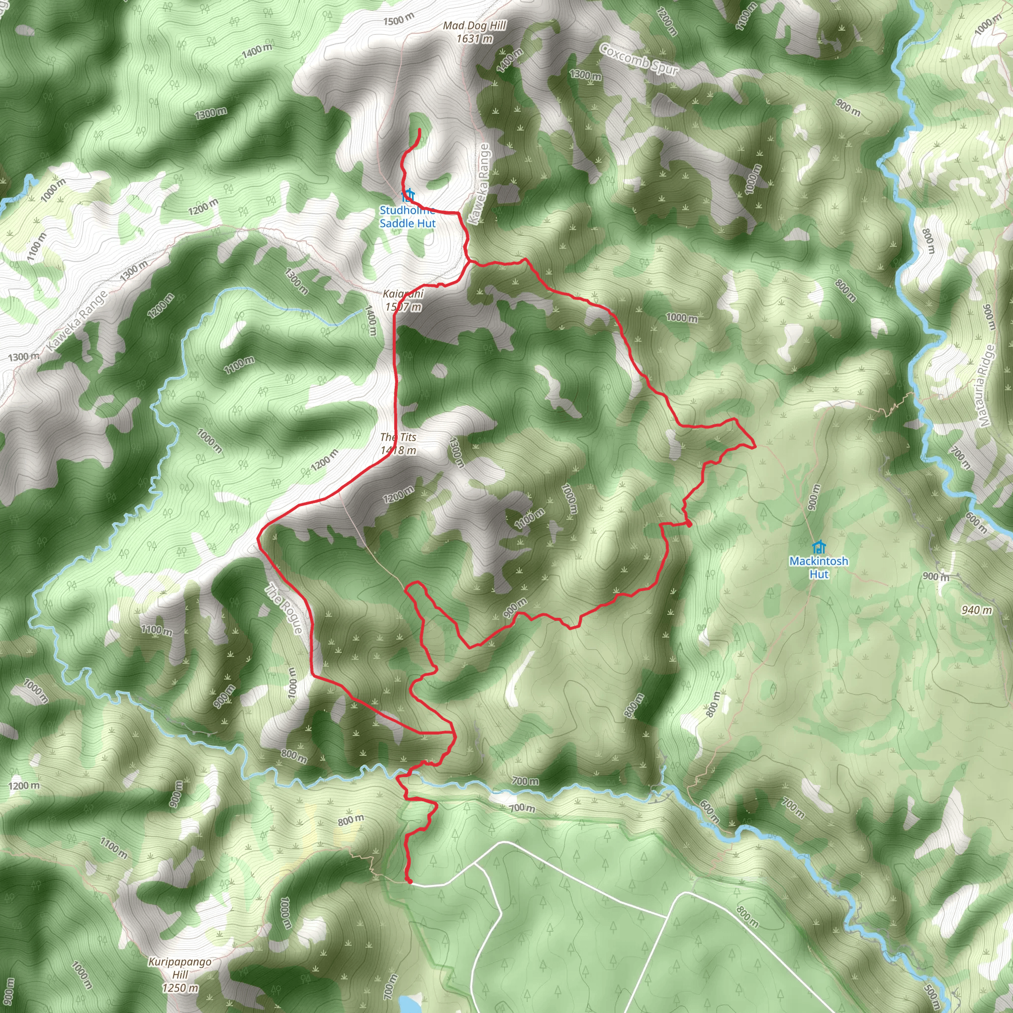 Kaweka Forest - Studholm Saddle Hut mobile static map