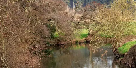 An image depicting the trail Ridge and Valley Walk - Little Dart and its surrounding area.