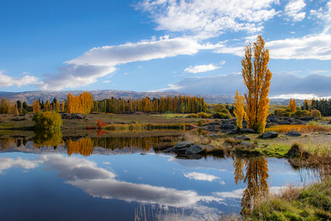 Butchers Dam Loop Track