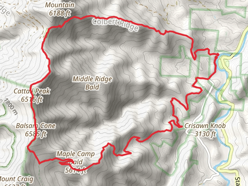 Colbert Ridge, Deep Gap, Cattail Peak and Buncombe Horse Loop Trail