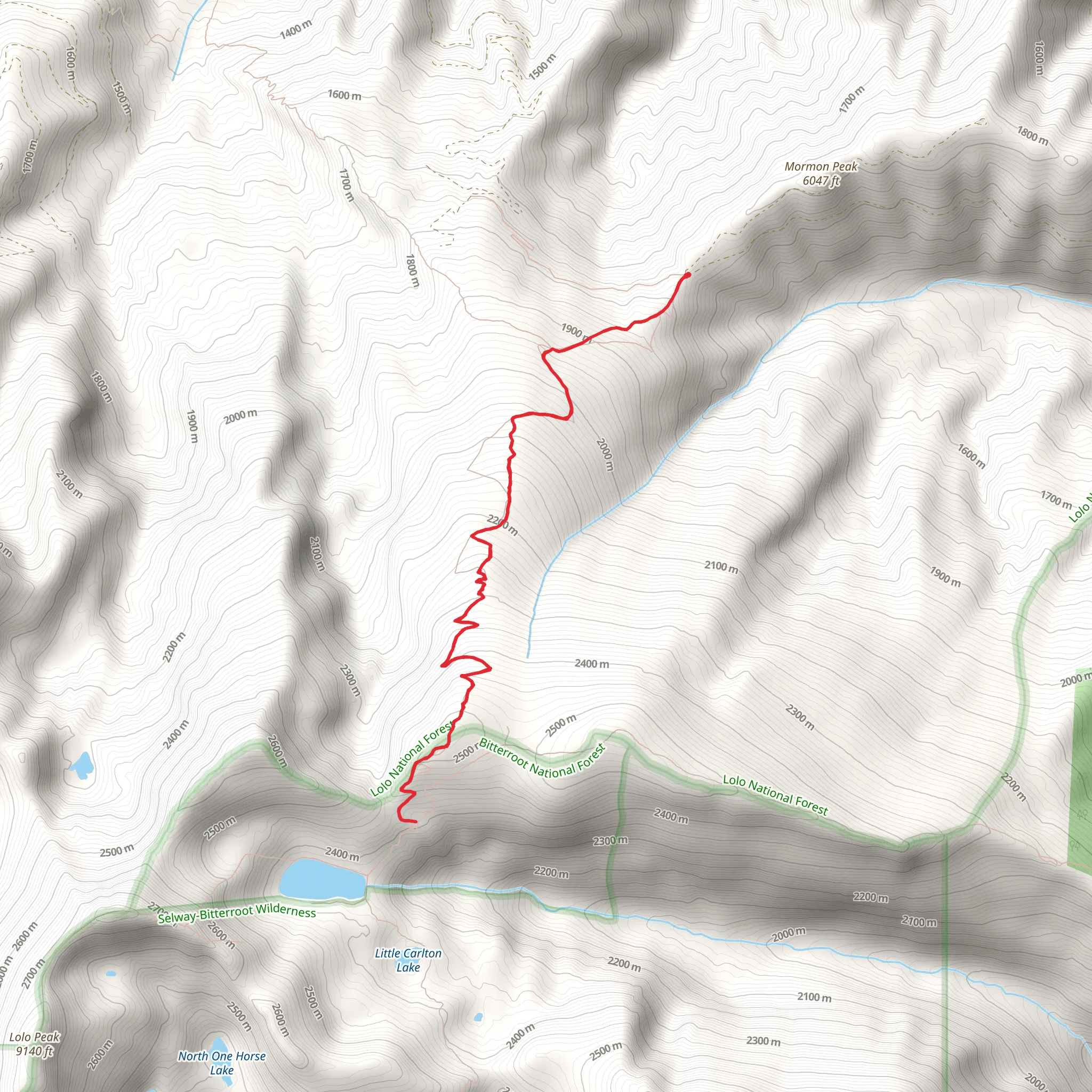 Lolo Peak Trail mobile static map