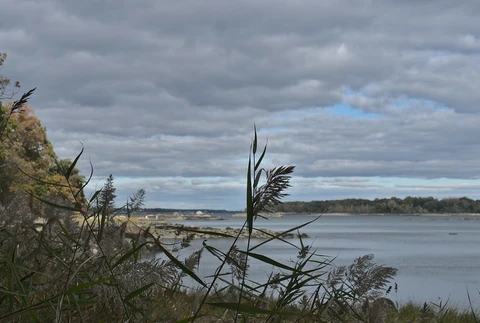 Twin Island Loop Trail