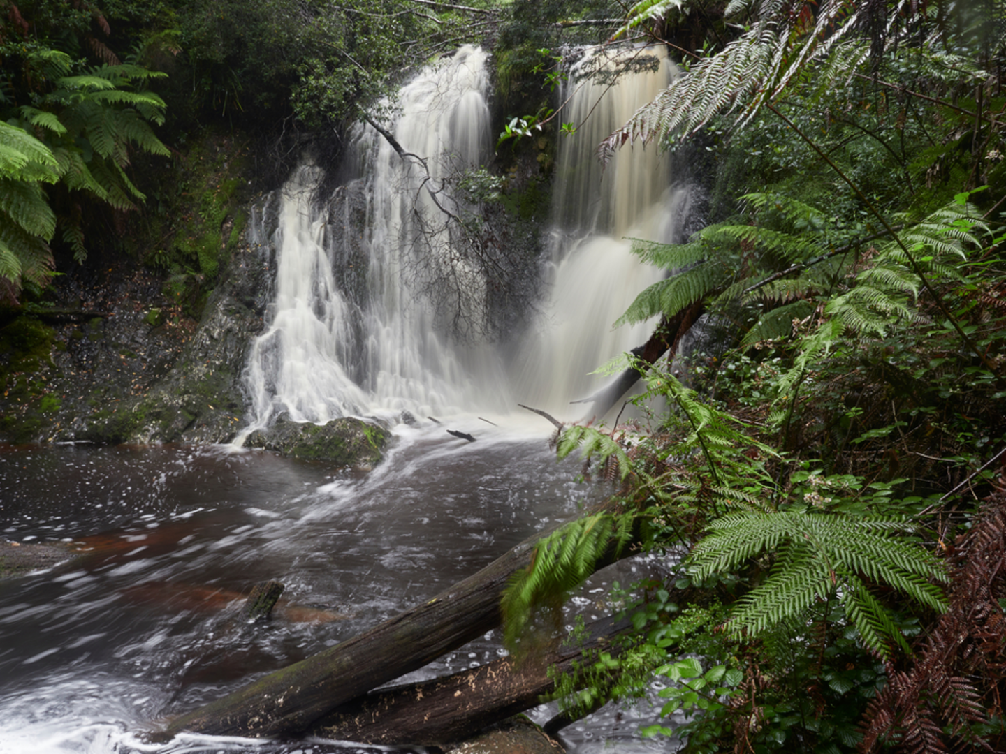 An image depicting the trail Hogarth Falls Track and its surrounding area.