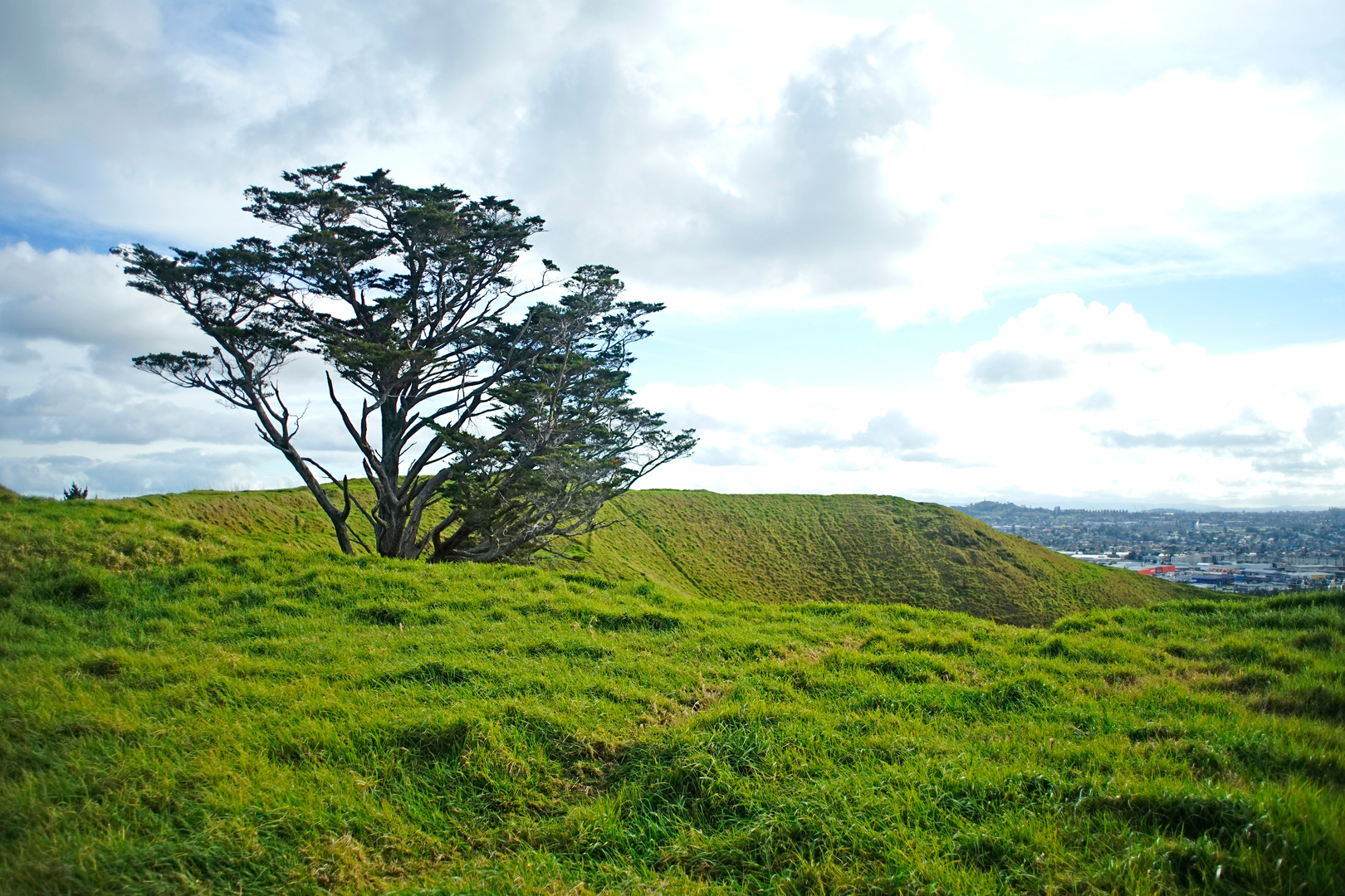 An image depicting the trail Mount Wellington Summit Trails and Stonefields Loop and its surrounding area.