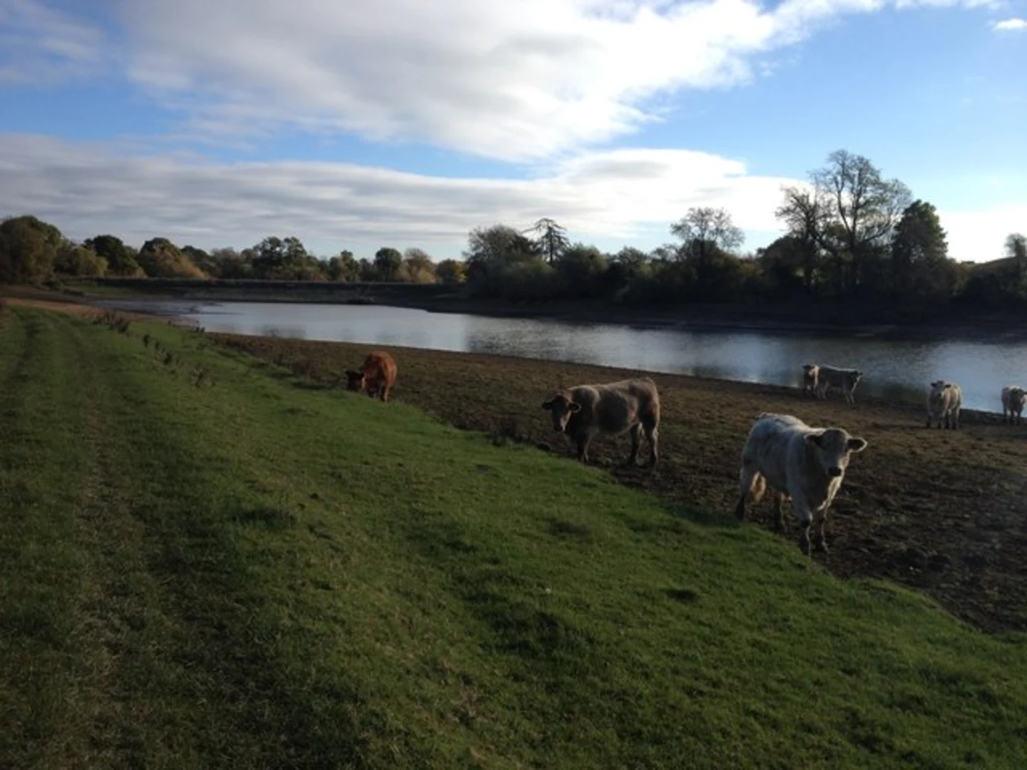 An image depicting the trail Welford Reservoir from Naseby and its surrounding area.