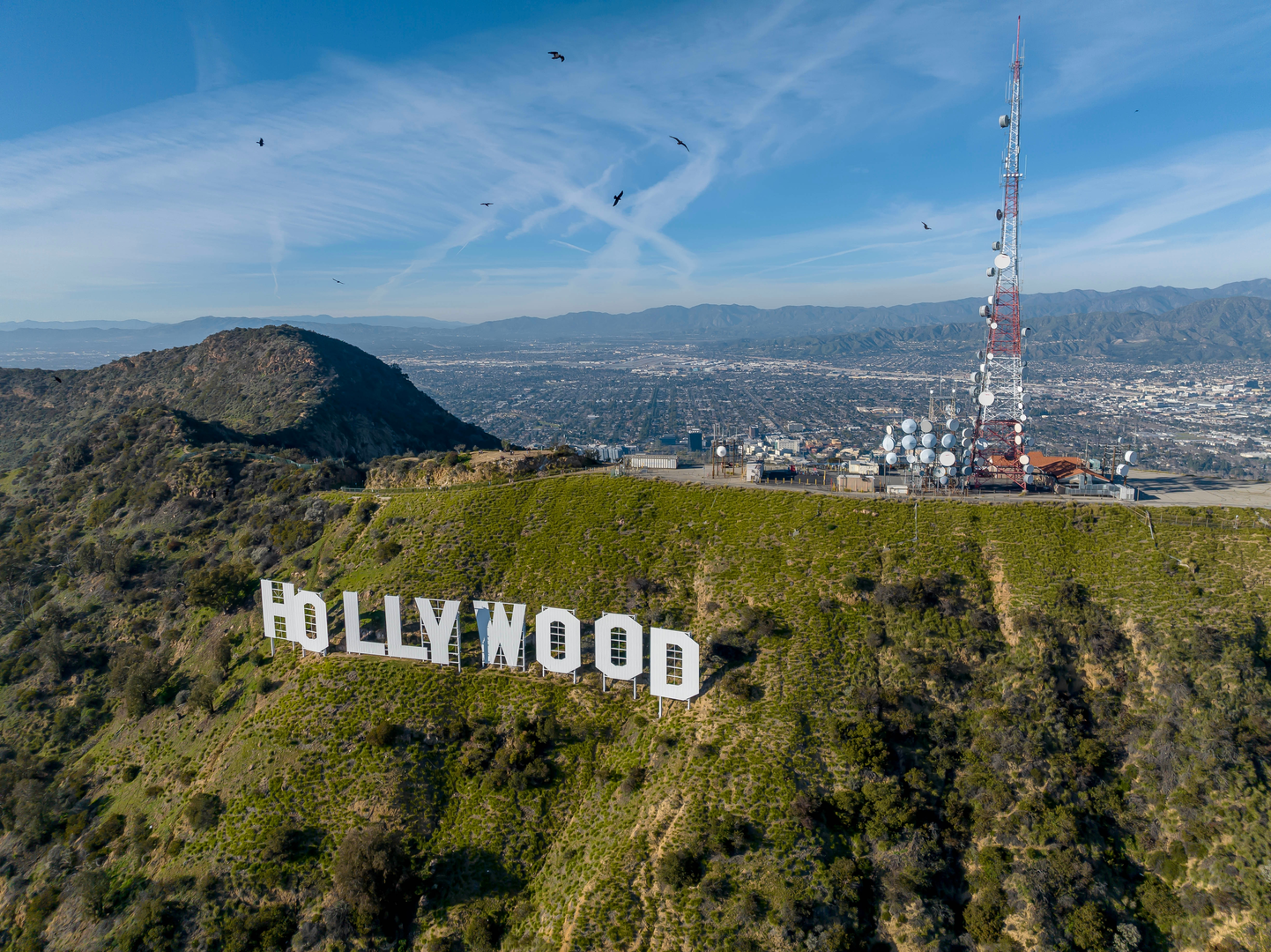 An image depicting the trail Mount Lee, Cahuenga Peak and Burbank Peak via North Trail and its surrounding area.
