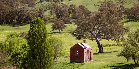An image depicting the trail Dry Diggings Track and its surrounding area.