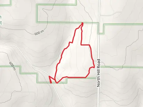 Lost Nation Road Loop