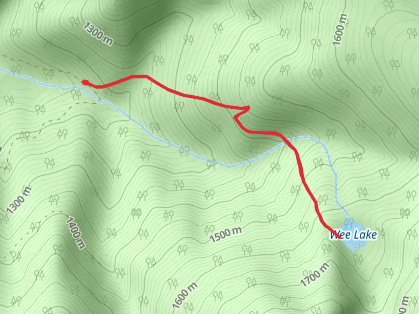 An image depicting the trail Wee Lake Trail via Arbo Creek Trail and its surrounding area.