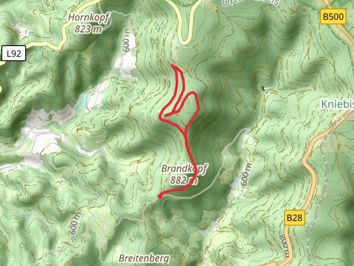 An image depicting the trail Buchkopftrum Loop and its surrounding area.